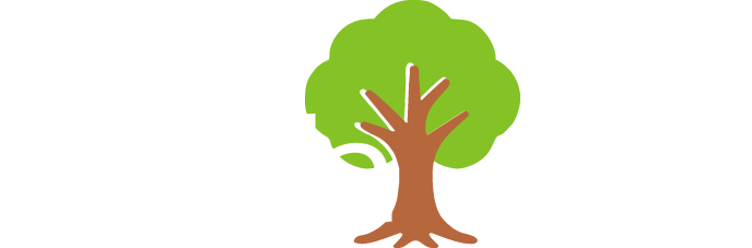 Fundação DaVida